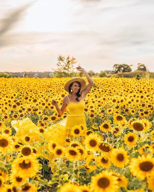 🌻 I love sunflowers 🌻
Sunflowers 🌻 are probably some of my favorite flowers. What is yo