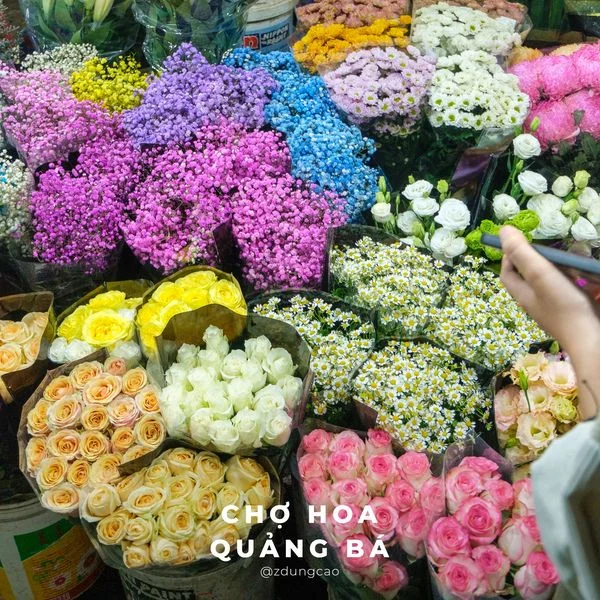 Một chút chợ hoa Quảng Bá.
---
Cao Quang Dũng