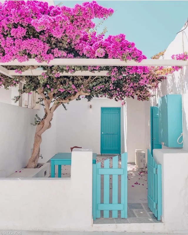 CAPTURE THE ESSENCE OF THE CYCLADES WITH POSTCARD-WORTHY VISTAS AT EVERY TURN 🌺
