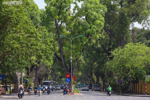 Những con đường rợp bóng mát giữa ngày Hà Nội 'đổ lửa' 🌿 🌿
Ảnh: VTC News - Vi Vu Hà Nội