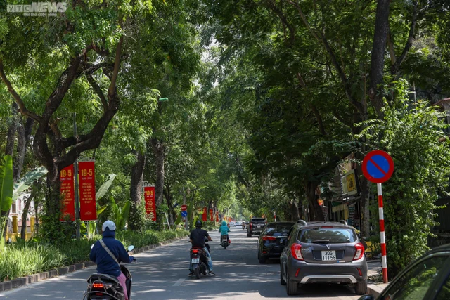 Những con đường rợp bóng mát giữa ngày Hà Nội 'đổ lửa' 🌿 🌿
Ảnh: VTC News - Vi Vu Hà Nội