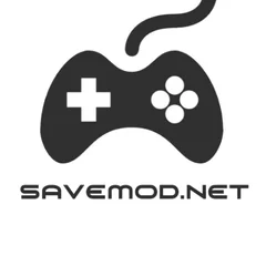 Mod Save