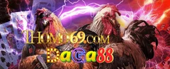 DAGA88 Đối tác trang Chủ nhà cái Thomo69 - Đá gà 88 - Trực tiếp đá gà đẳng cấp số 1️⃣ châu Á DAGA88 Đối tác trang Chủ nhà cái Thomo69 - Đá gà 88 - Trực tiếp đá gà đẳng cấp số 1️⃣ châu Á