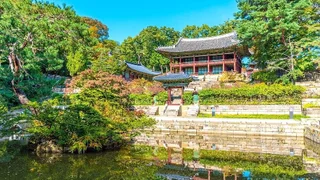 Cung điện Changdeokgung: Viên ngọc kiến trúc giữa lòng Seoul