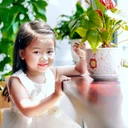 Thu Hồng's profile picture
