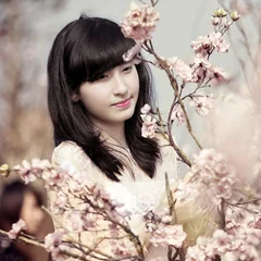 Dương Trúc Linh's profile picture