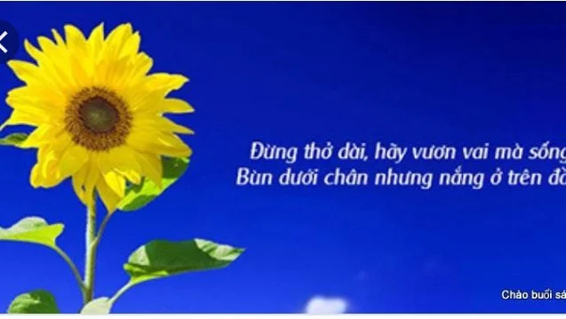 Trịnh Hải Dumi's cover photo