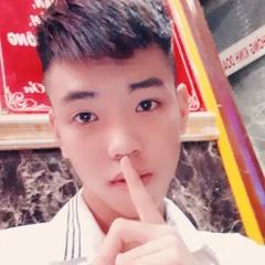 Lê nguyễn Hưng Thịnh's profile picture