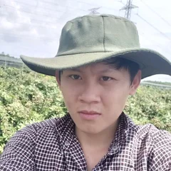 Pham Van Phuc's profile picture