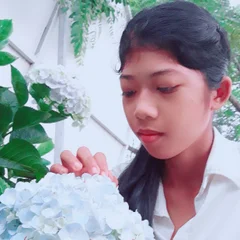 Dương Thoa's profile picture