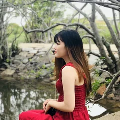 Hồng Hải's profile picture