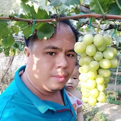 Vũ Hải Nguyễn's profile picture