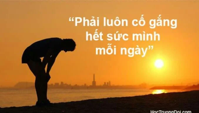 Trọng Trung's cover photo
